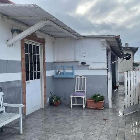 Airport Apartment Happyhouse Fiumicino Exterior photo